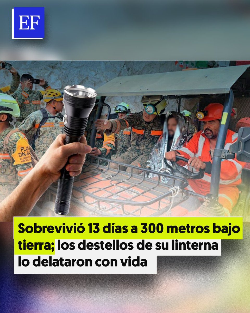 El Financiero tweet media
