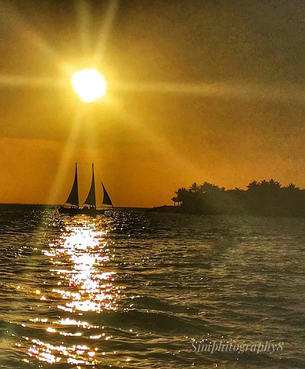 sjm8, PA-C tweet media