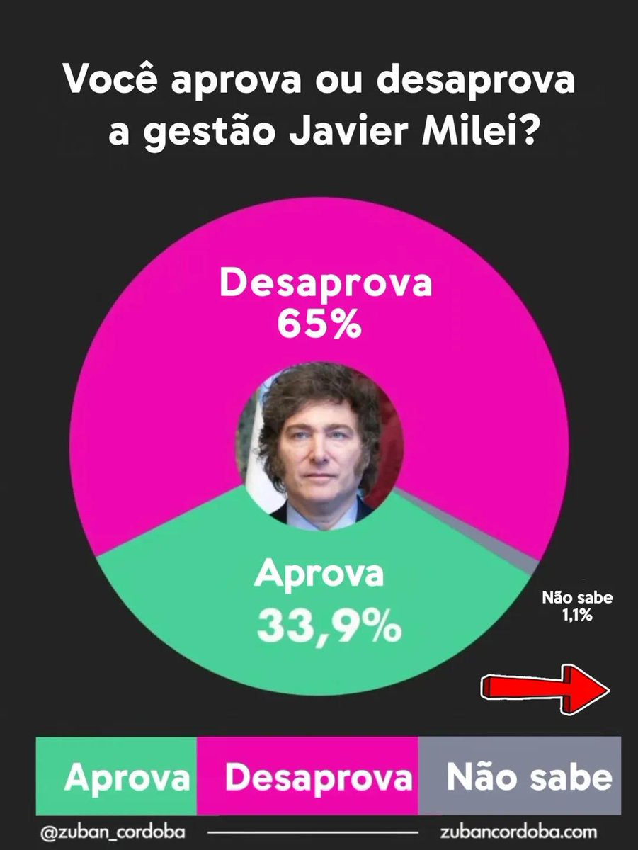 🇦🇷 ARGENTINA: Desaprovação RECORDE de Javier Milei

▶️65% da população desaprovam a gestão Javier Milei, contra apenas 33,1% que aprovam o governo do presidente eleito com 56% dos votos em 2023.

🗳️ Pesquisa zuban cordoba