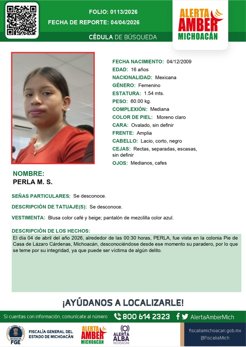 Alerta Amber Mich. tweet media