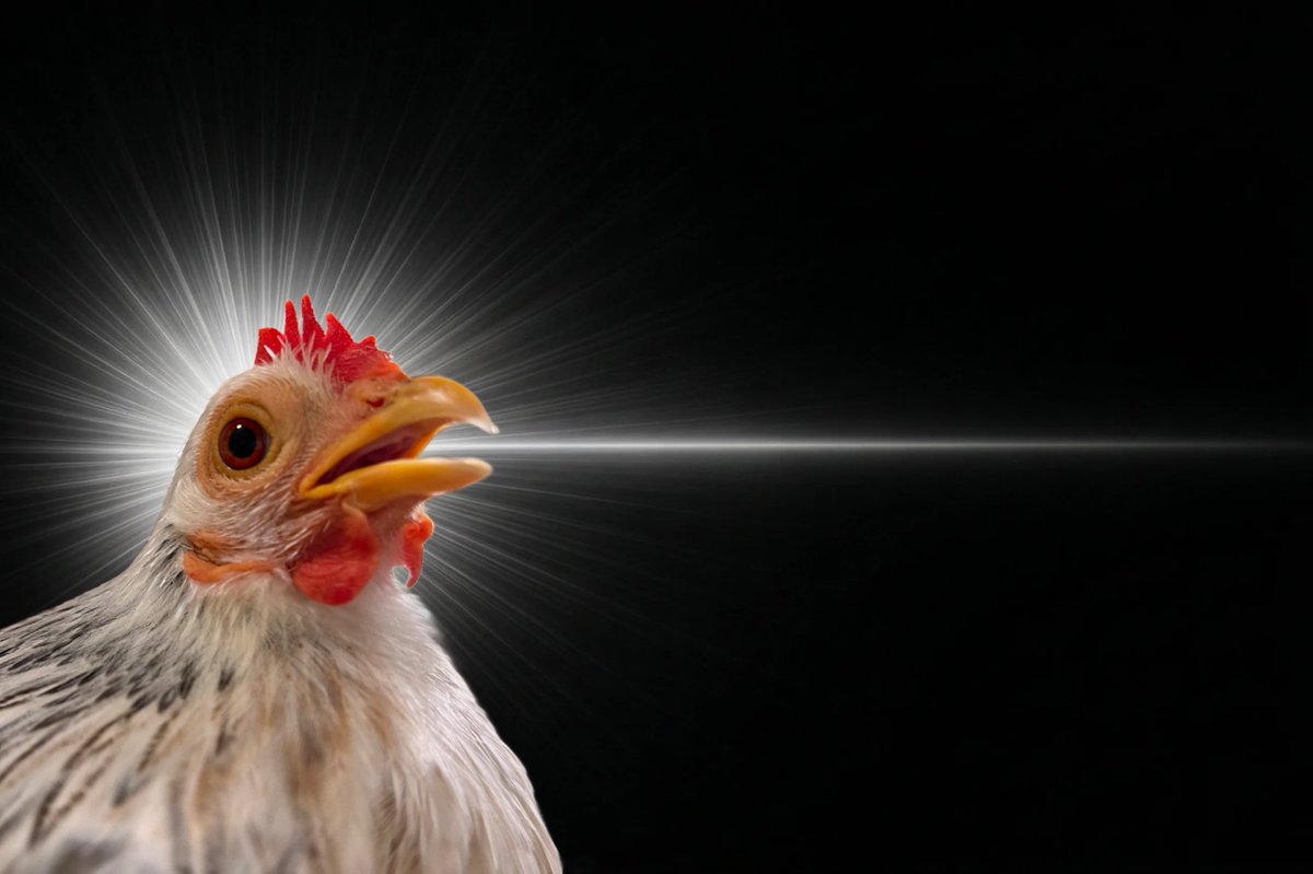 かめいち tweet media