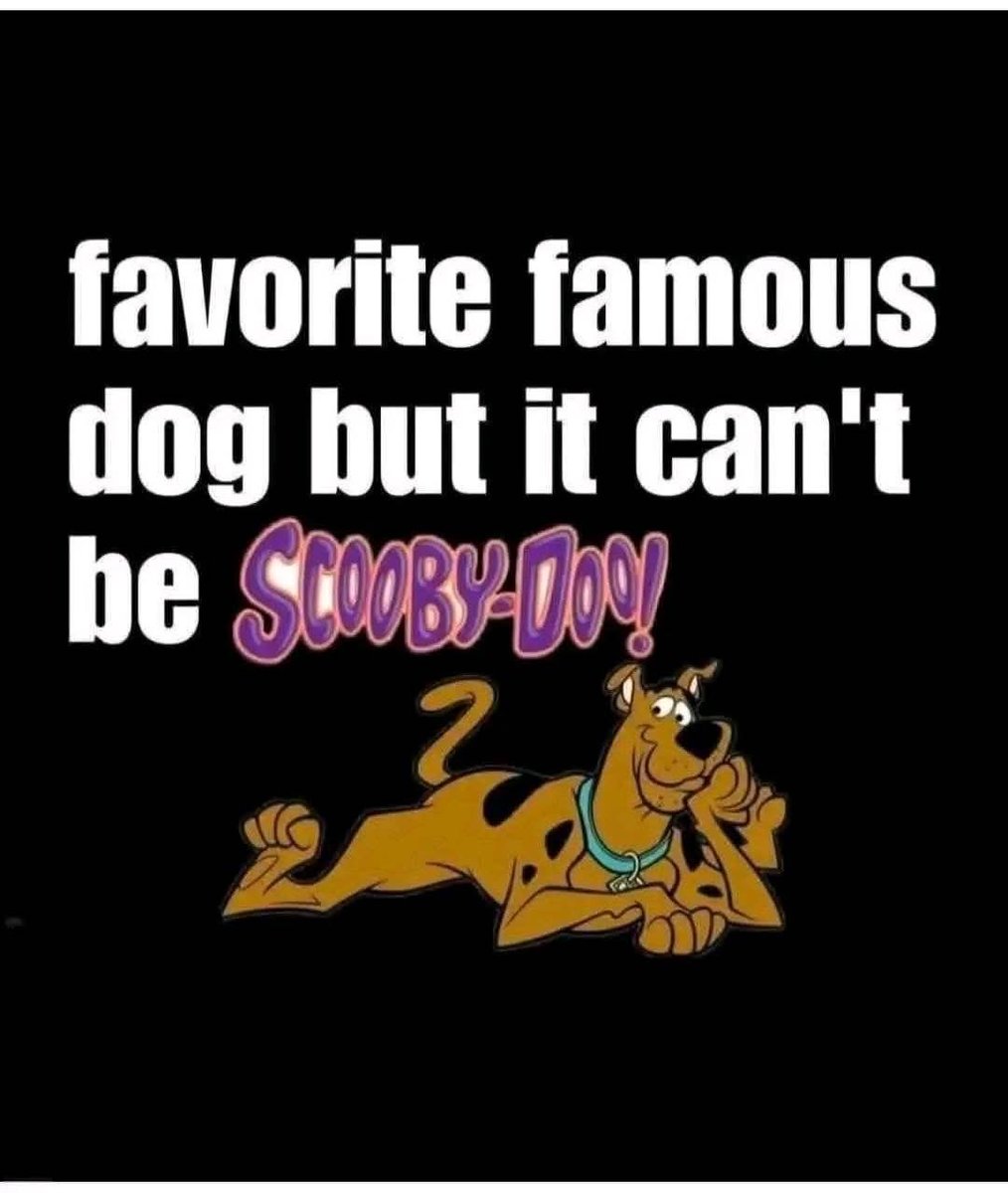 Gina💄🇺🇸 tweet media