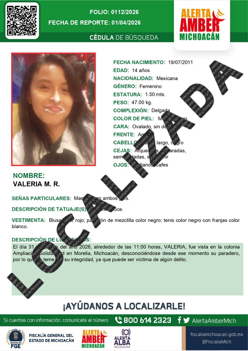 Alerta Amber Mich. tweet media