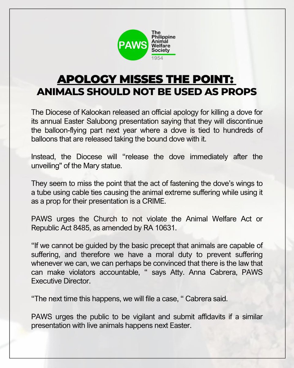 ibcdigital13's tweet image. ‘APOLOGY MISSES THE POINT’

Ito ang naging tugon ng Philippine Animal Welfare Society (PAWS) sa inilabas na public apology ng Diocese of Kalookan kamakailan, matapos masawi ang isang kalapati sa kanilang isinagawang taunang Salubong nitong #EasterSunday. [1/3]