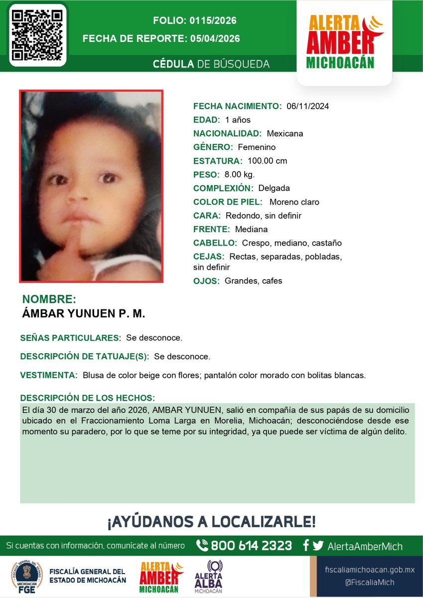 Alerta Amber Mich. tweet media