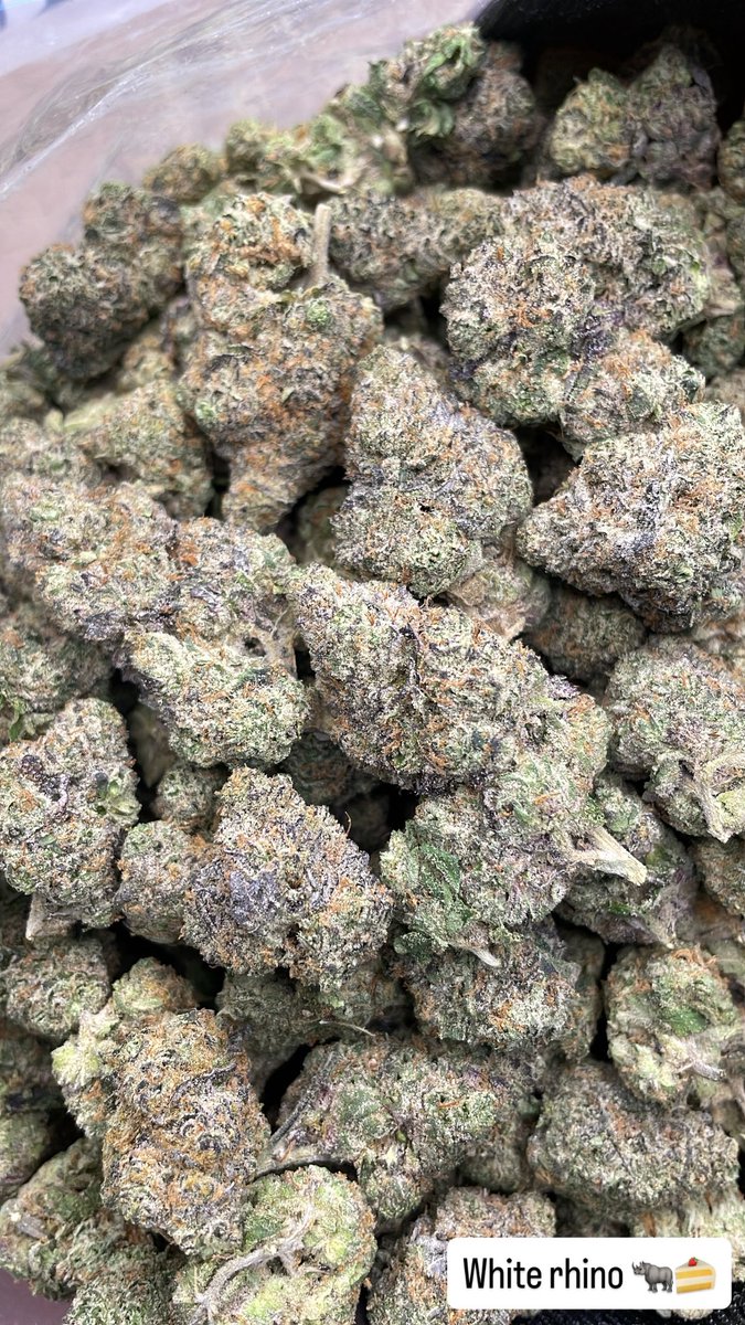 Oneofthem1_s's tweet photo. NEW FLAVORS ADDED TO THIS LIST 4+ NEW FLAVORS🍒🍋🍧🍉ALL SUPER DANKK⛽️⛽️⛽️ Houston weed plug mobile all day https://t.co/8kkEPrXBp3