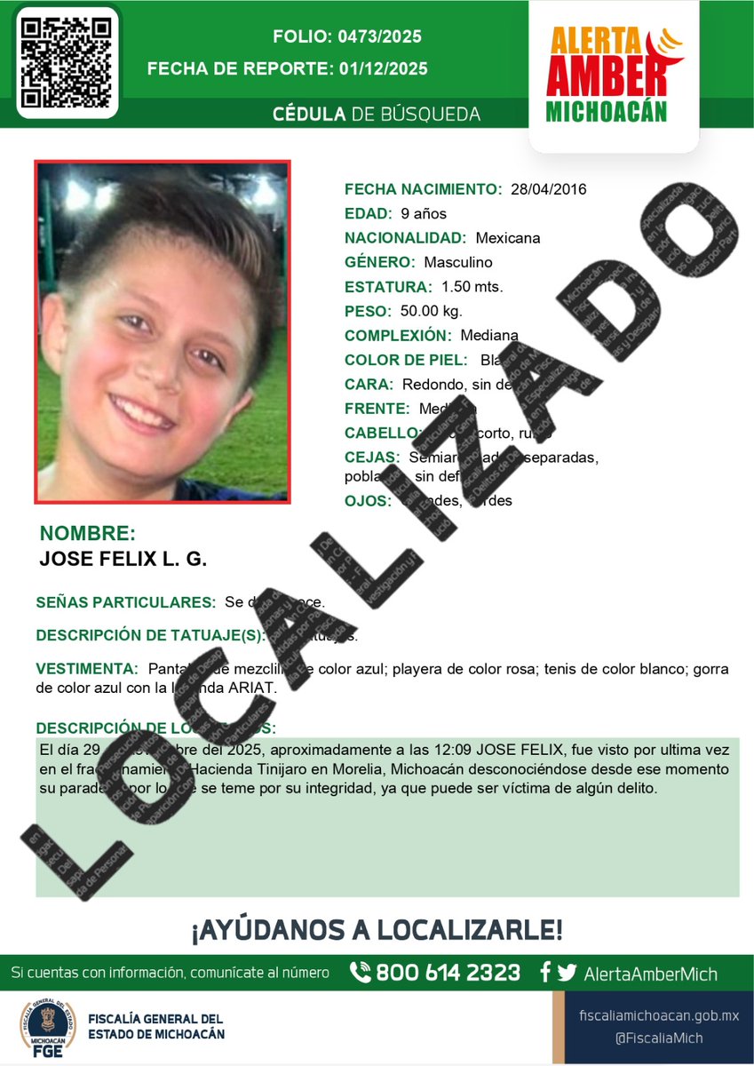 Alerta Amber Mich. tweet media
