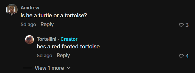 MrWhoBob tweet media