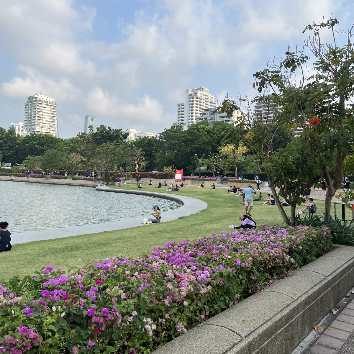 alnp — tweet media