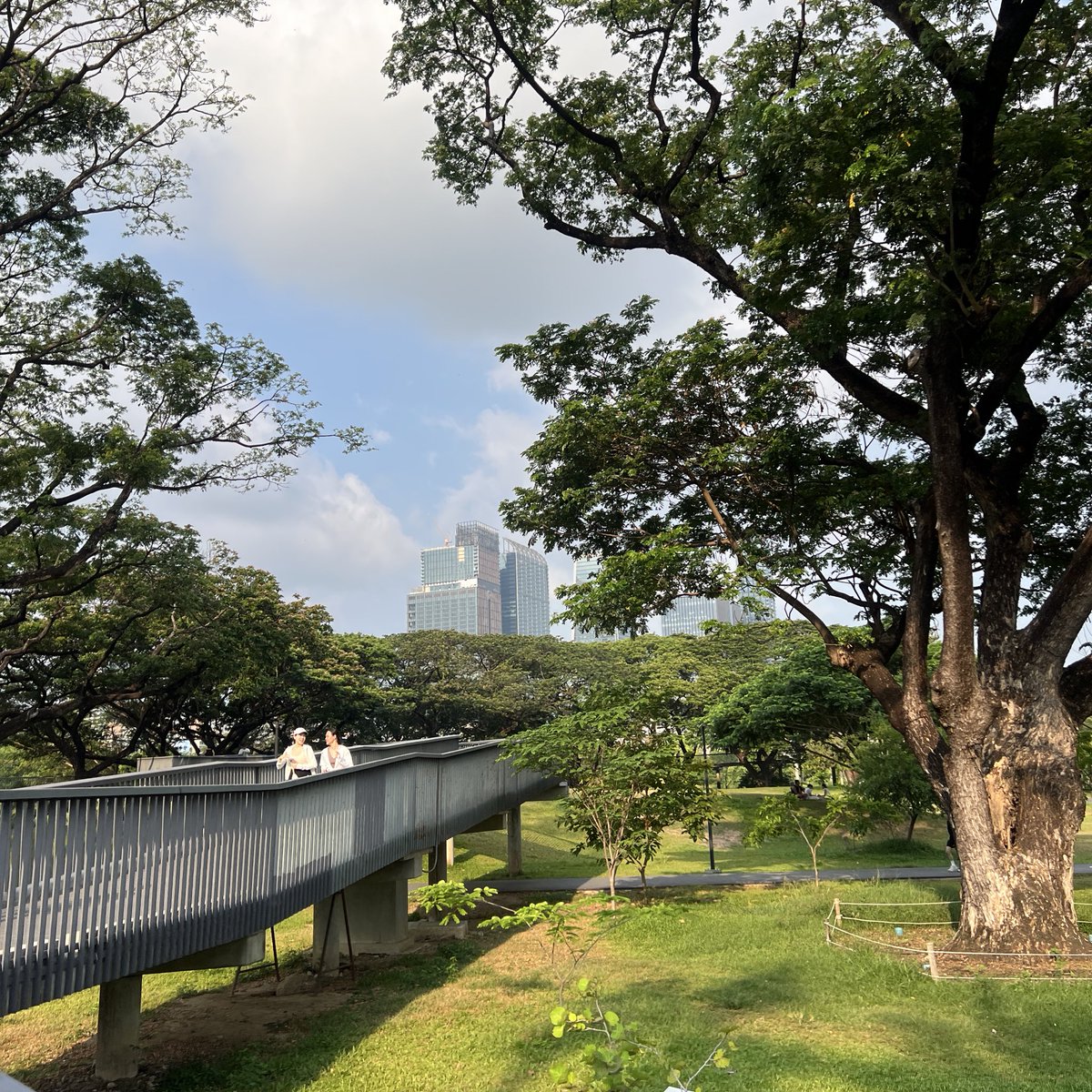 alnp — tweet media