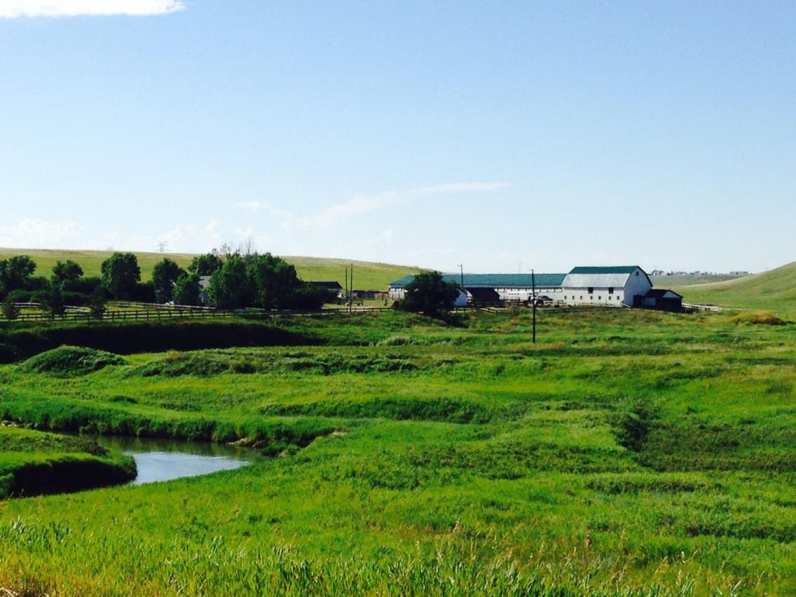 ChinookSW's tweet photo. 1/  
🌾 True Conservation Starts on the Ground  

I grew up on this land with cattle and horses. My family has been here for decades, and today it still looks exactly the same.  

That’s true conservation.  
The visual evidence is irrefutable.  

That’s true stewardship — taking absolute responsibility for everything around you: your land, your livestock, your water.  

2/  
That is saving the environment through actions every single day, left in the hands of people who truly understand the land. The dedication is unquestionable: taking pride in providing for humanity with great compassion and care.  

Since 1903 and for generations, we have taken it upon ourselves to diligently maintain the highest standards — always evolving, improving, and progressing to the best of our capabilities.  

3/  
And yet, government overreach and corporate gouging have made it so difficult that we can barely make a living for our own families. Endless farms have gone bankrupt, cattle herds have been reduced because of the skyrocketing costs of machinery, fuel, fertilizer — everything it takes. Most of us would rather die trying than quit. And I mean that in every sense of the word.  

4/  
We are true, honest, good people. We live on the prairie; we live off the land. We remain true shepherds of the land, and we don’t do it just for ourselves. We do it for the whole world. Here on the prairie, we are the best in the world, and there is proof and data to back that up.  

You don’t understand the people who live in real-time, life-and-death situations every single day — be it human or animal — across the prairie provinces of Alberta, Saskatchewan, and Manitoba. Because you’ve never taken the time to get to know us or even ask the questions that truly matter. You don’t even try to understand what we do for you, for your family, for every city and town across this country and around the world. Isn’t it time to ask?  

People cannot continue to blindly believe a bunch of guys in suits who couldn’t even grow a potato themselves. We are all individuals and equals who should not be divided against one another. We should all act like civil human beings toward one another. We all share the same common goal: to live.  

5/  
Always considering and knowing full well that one day someone in the world will be healthier and stronger because of what you do — impacting human life without ever even meeting that human being. That’s true humanity. That is agriculture. People in agriculture take great care in knowing so well that human lives absolutely depend upon what we do every day — ethically, morally, and responsibly — so that we can contribute to each and every single life that exists on this earth.  

It’s being selfless and knowing there is no other choice if you want to help people across the world eat well on healthy, clean diets.  

Never let anyone tell you different.  
Anything else is a lie.  

#RanchLife #TrueStewardship #LandAndLegacy #AgricultureIsHumanity #PrairieStewards #GenerationalFarming
