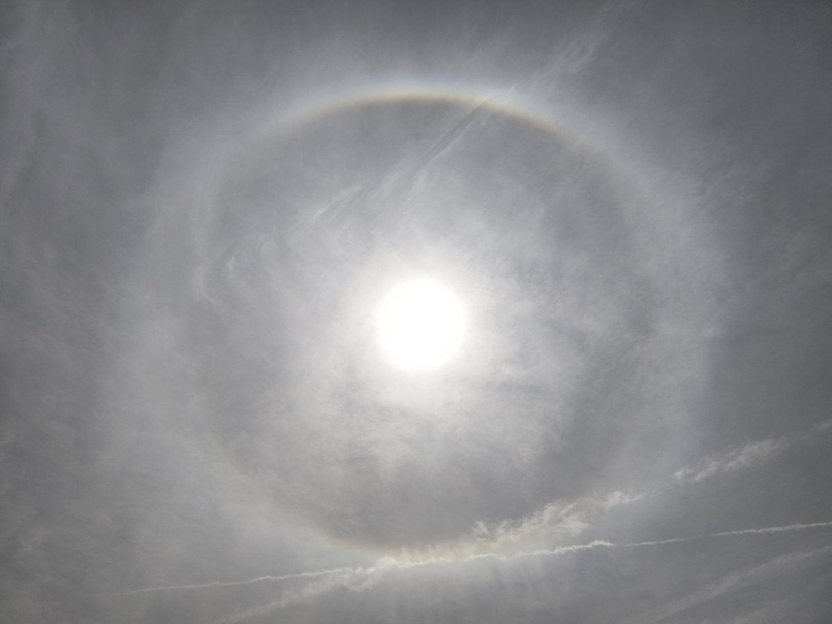 ネコペン tweet media