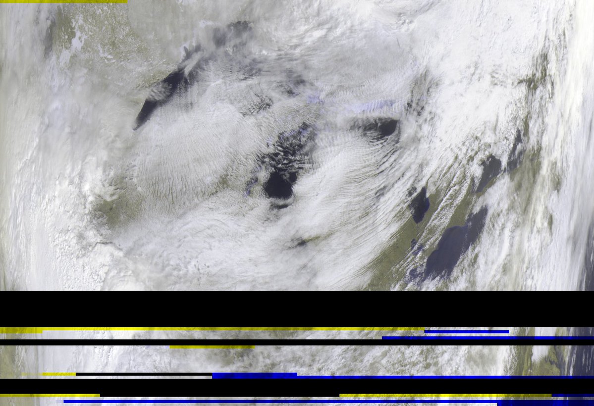 Radish 🫜 tweet media