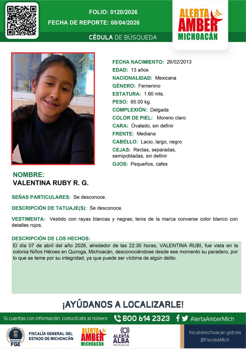 Alerta Amber Mich. tweet media