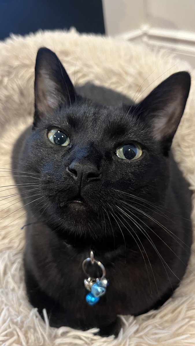 Sock’s father tweet media