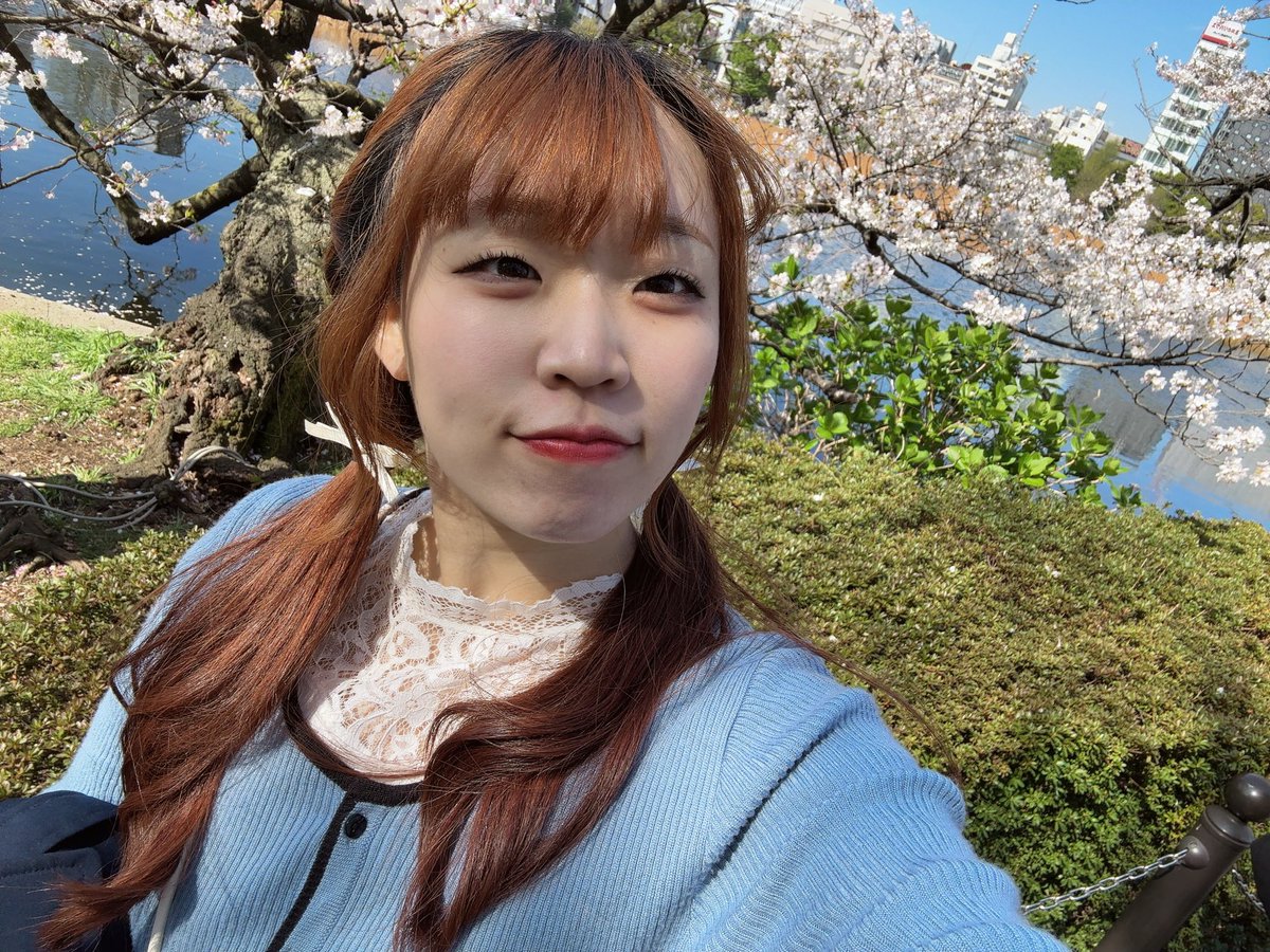 白梅 萌夏 tweet media