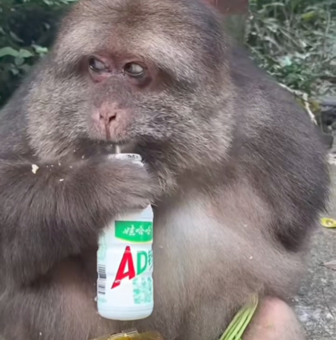 júlia🪷|| the pitt spoilers tweet media