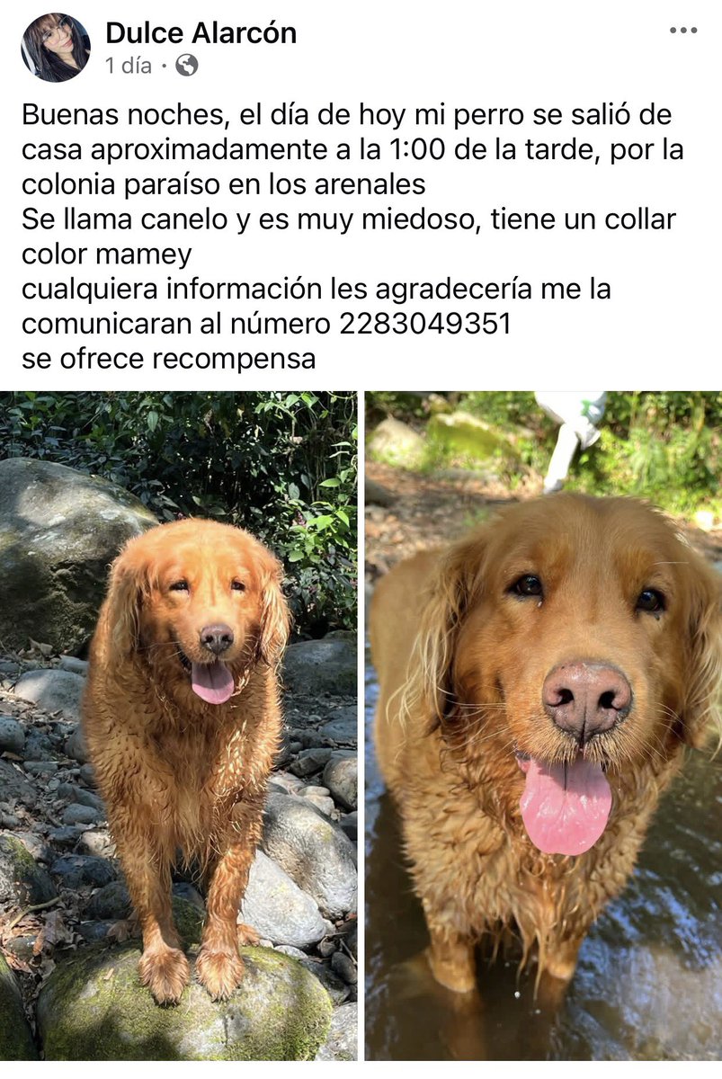 ANGIE COLUNGA tweet media