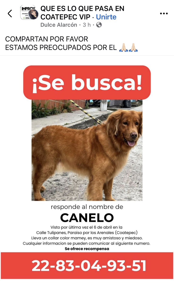 ANGIE COLUNGA tweet media