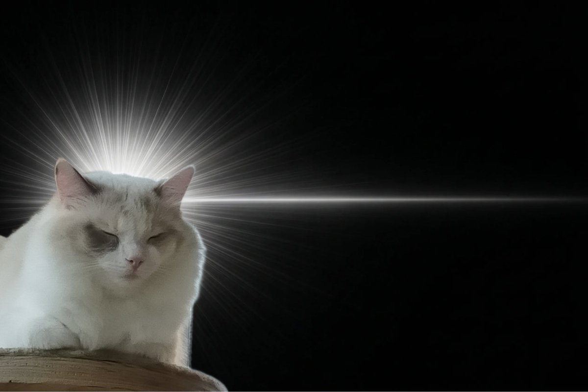 りーーーーーん tweet media