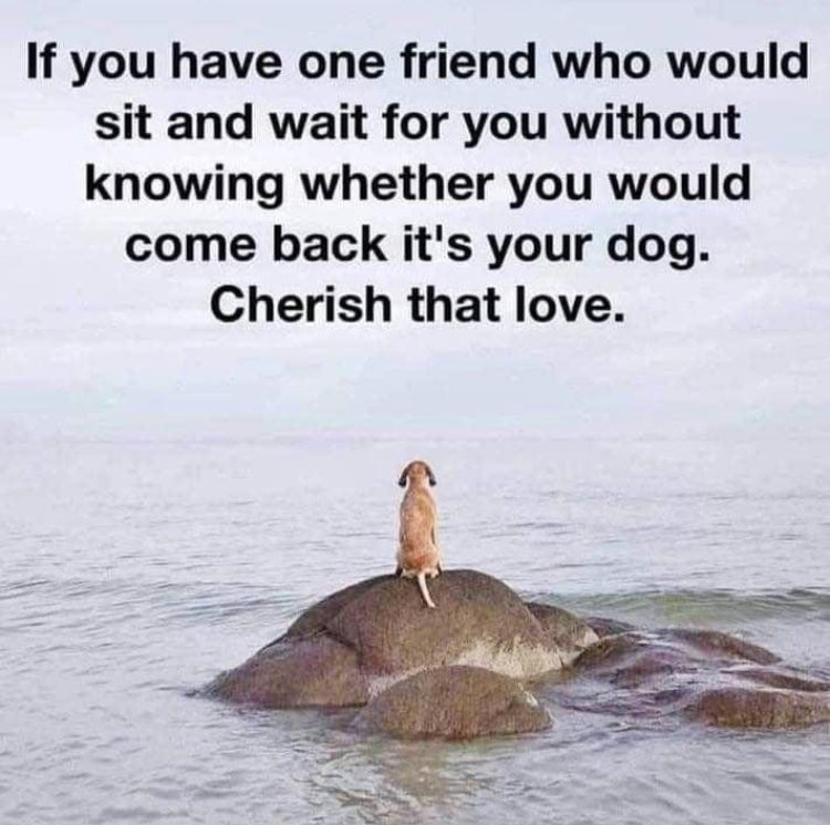 Gina💄🇺🇸 tweet media