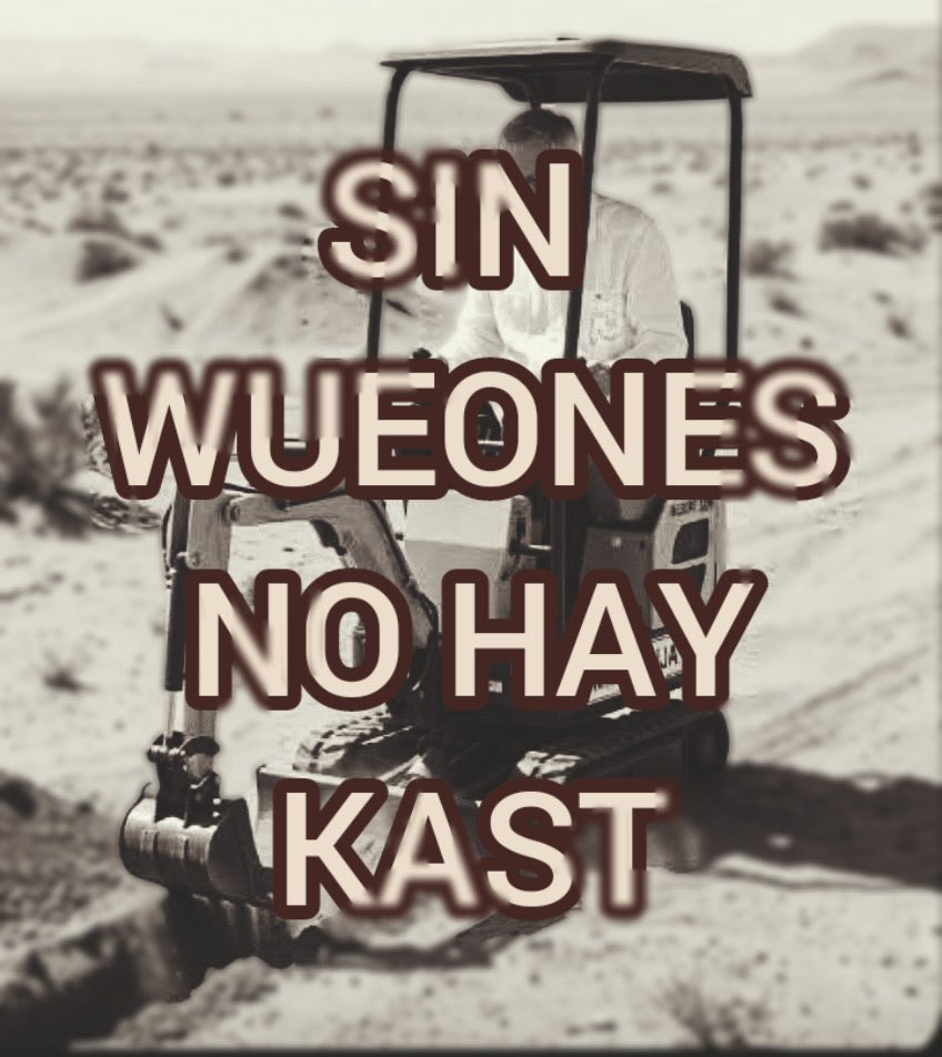 #NoFueConMiVoto tweet media