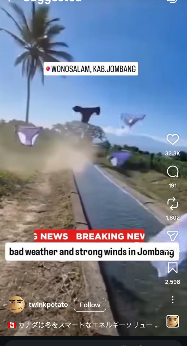 Milking Pansa tweet media