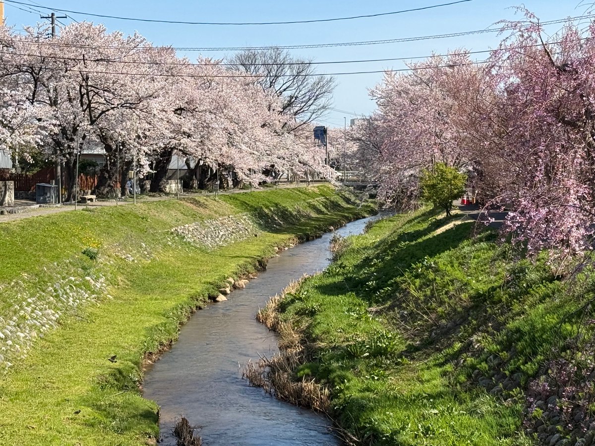 上越妙高タウン情報 tweet media