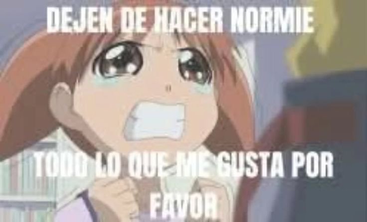 𝒓𝒆𝒊 tweet media