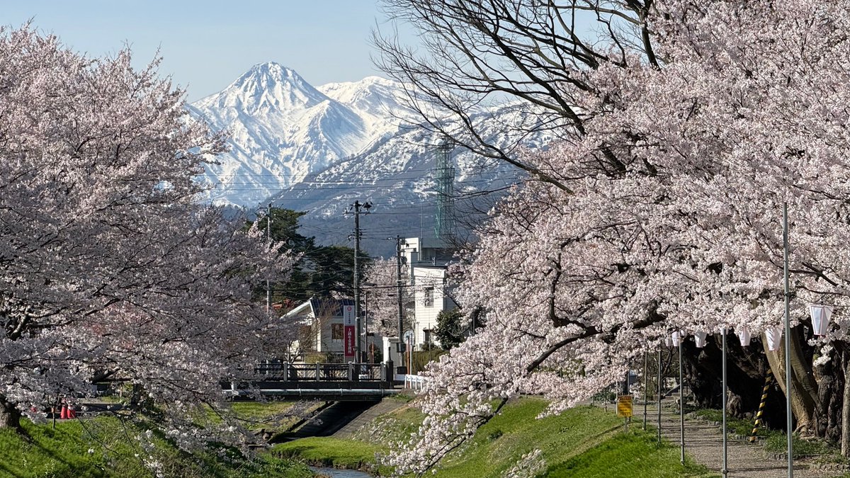 上越妙高タウン情報 tweet media