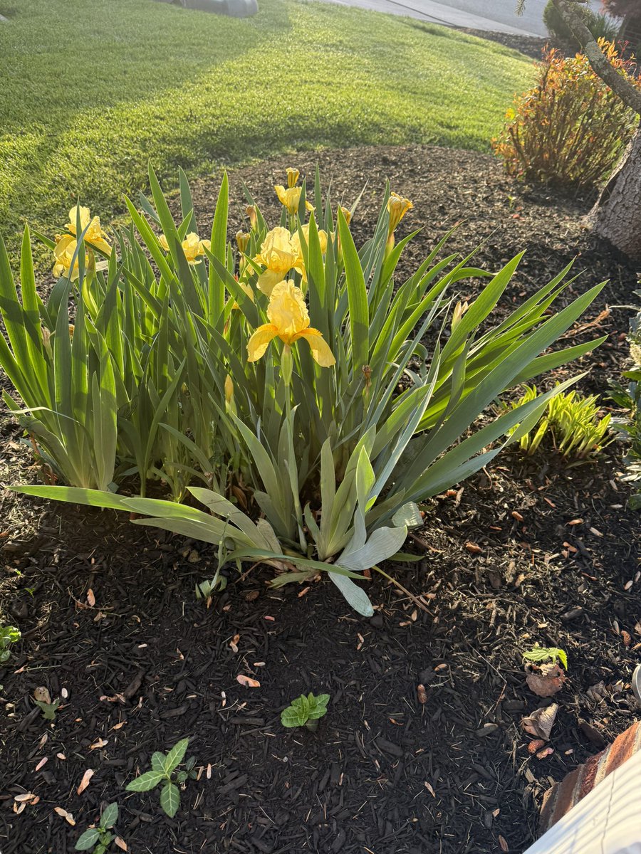 Jackie Raley tweet media