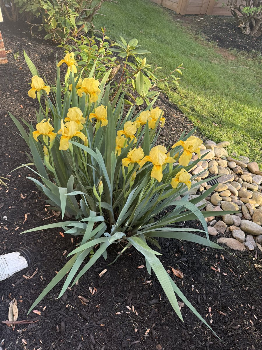 Jackie Raley tweet media