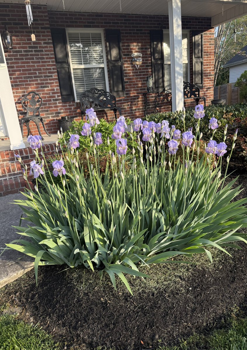 Jackie Raley tweet media