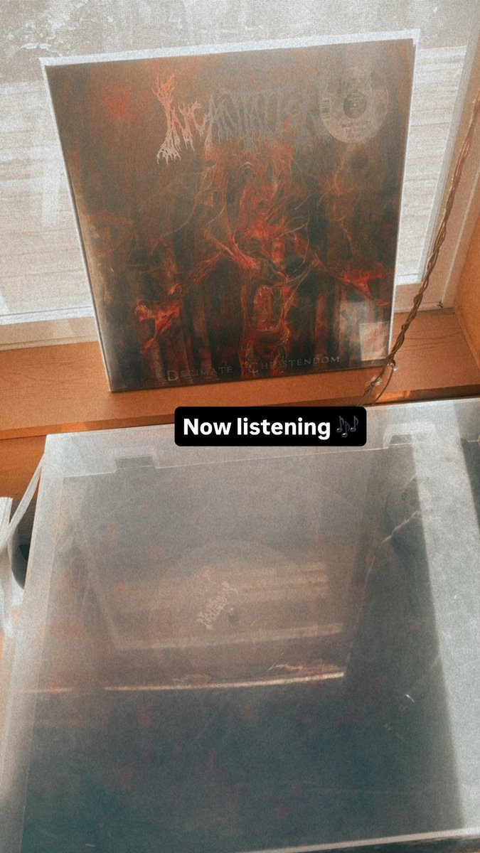 Kaiya Pelletier tweet media