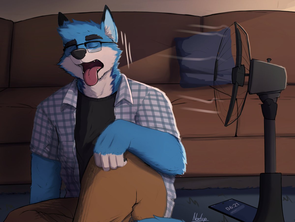 Noxlup 🌃🐺 tweet media