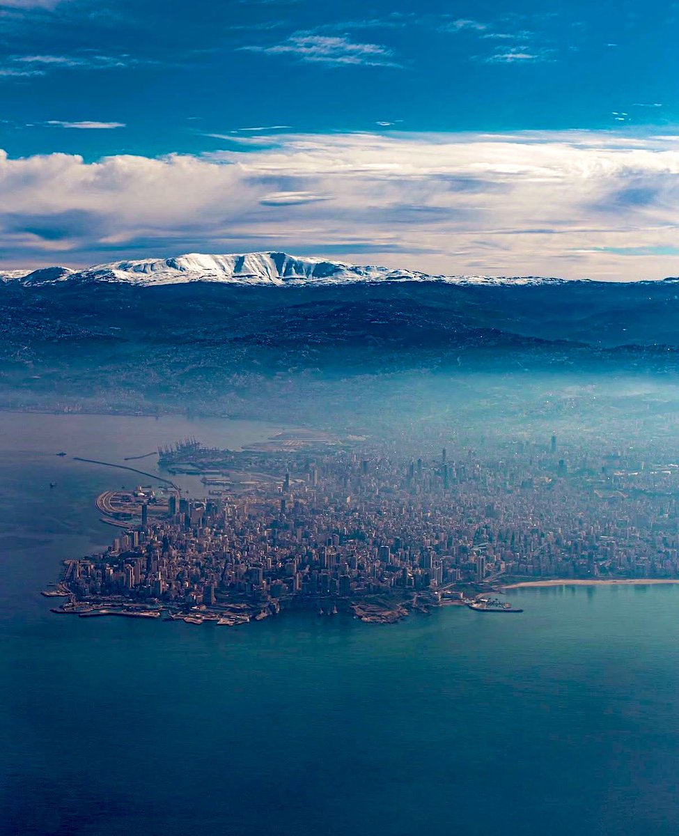 🇱🇧 tweet media