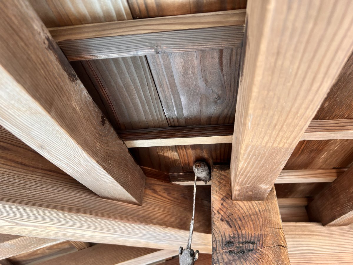 スナックちゃんみつ🪬つね tweet media