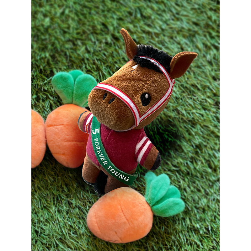 netkeibashop's tweet photo. 【新商品】
年度代表馬 フォーエバーヤング
netkeibaショップオリジナルグッズが初登場✨

ブルゾンをはじめ、世界最高峰の舞台で活躍するフォーエバーヤングをモチーフにしたアパレル＆雑貨がラインナップ🐴

今しか手に入らない注目アイテムをぜひチェック👇