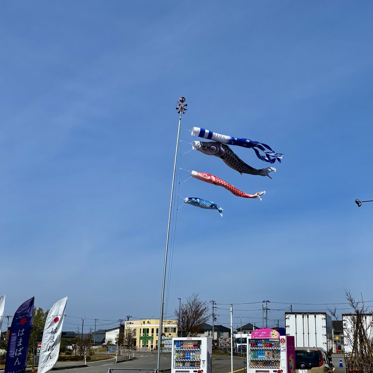 山脇道子(michi)🇯🇵🐕🎸☮️ tweet media