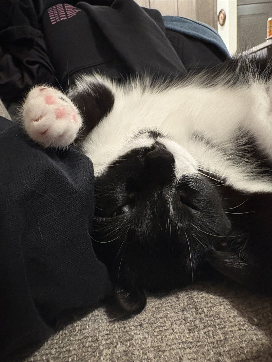 maya (๑˃ᴗ˂)ﻭ tweet media