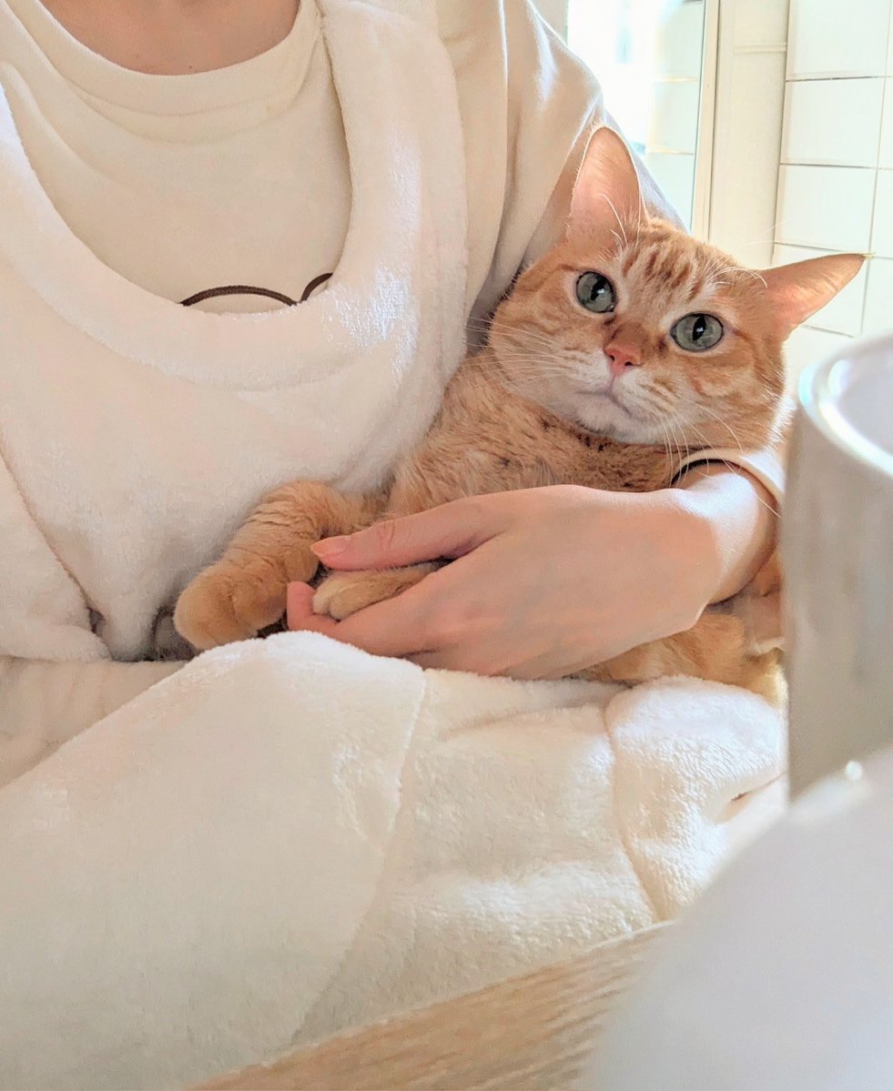 類🐊4巻発売中 tweet media