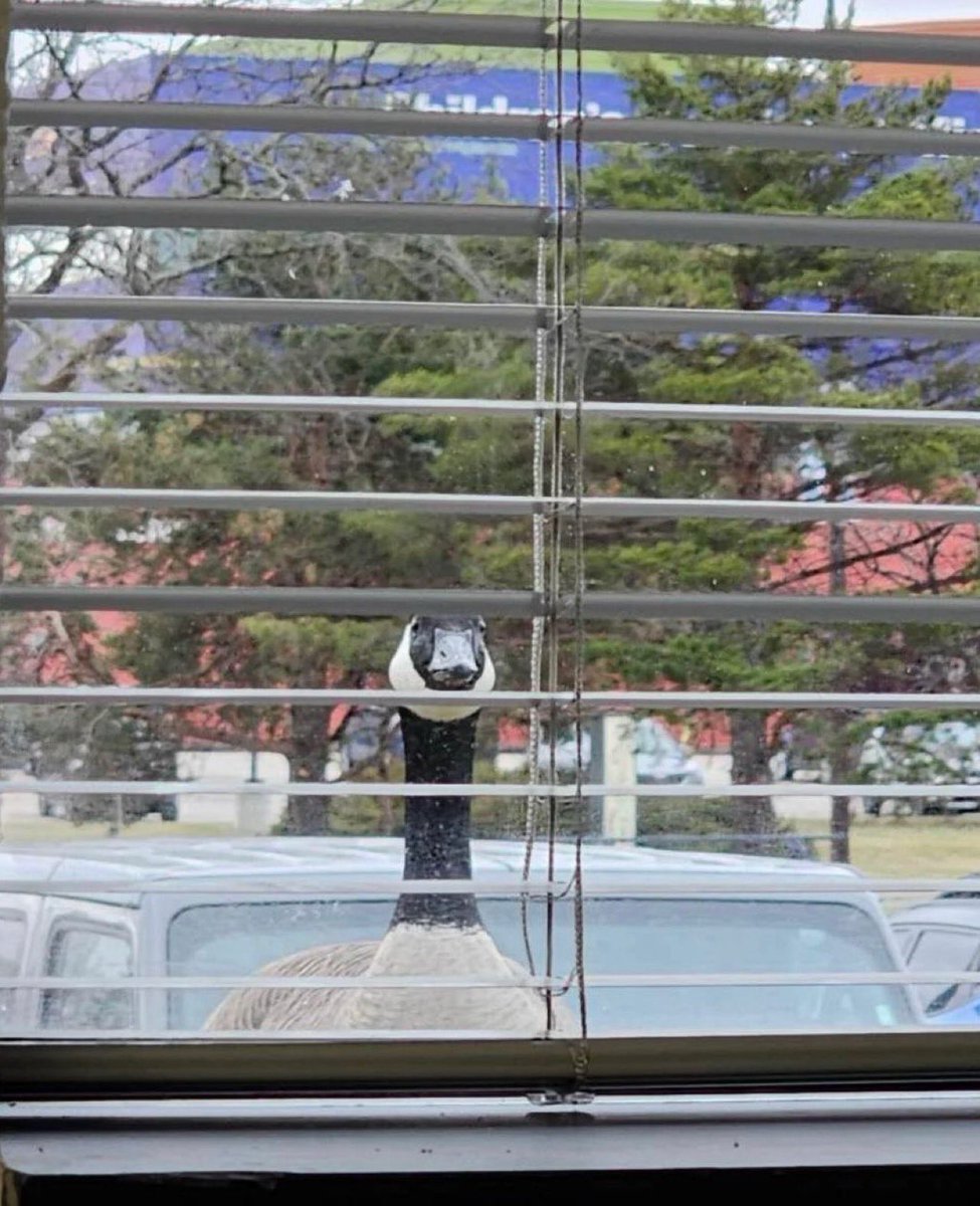 Agatha Chocolats tweet media