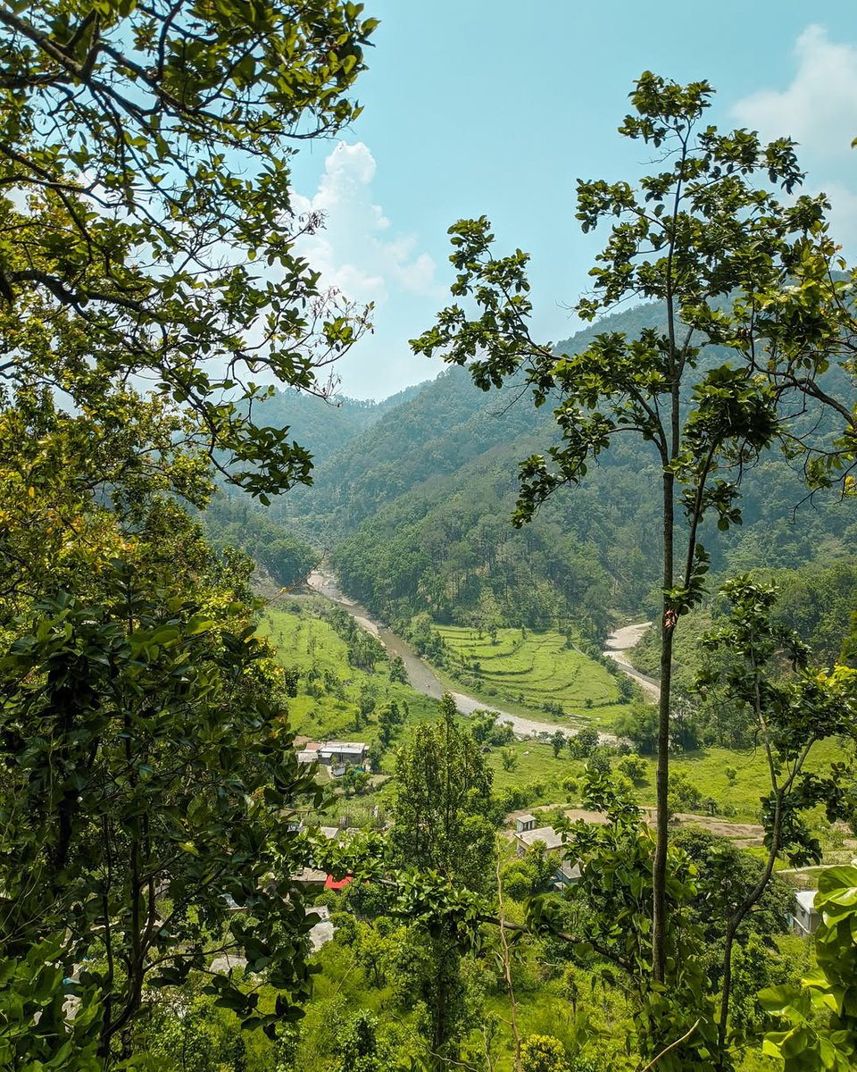 Manjeet Negi tweet media