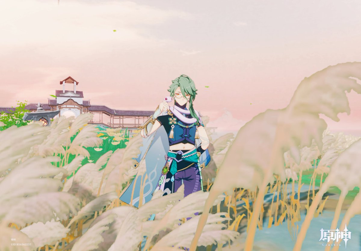 蜻蛉 tweet media