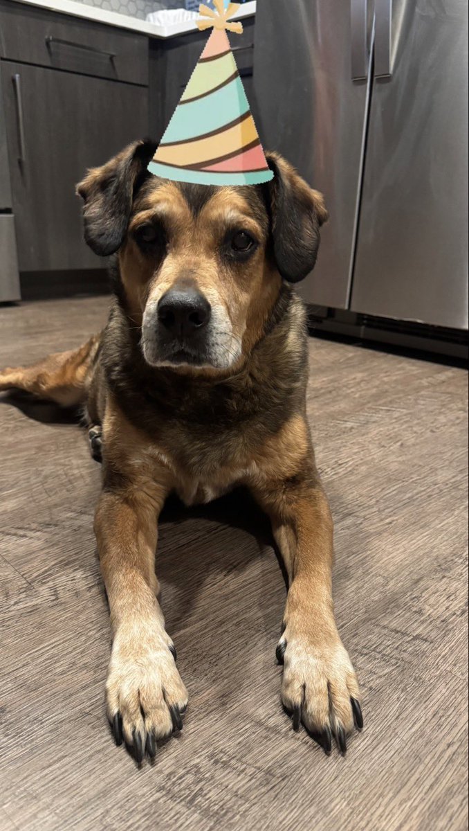 Dr. F117Nighthawk tweet media