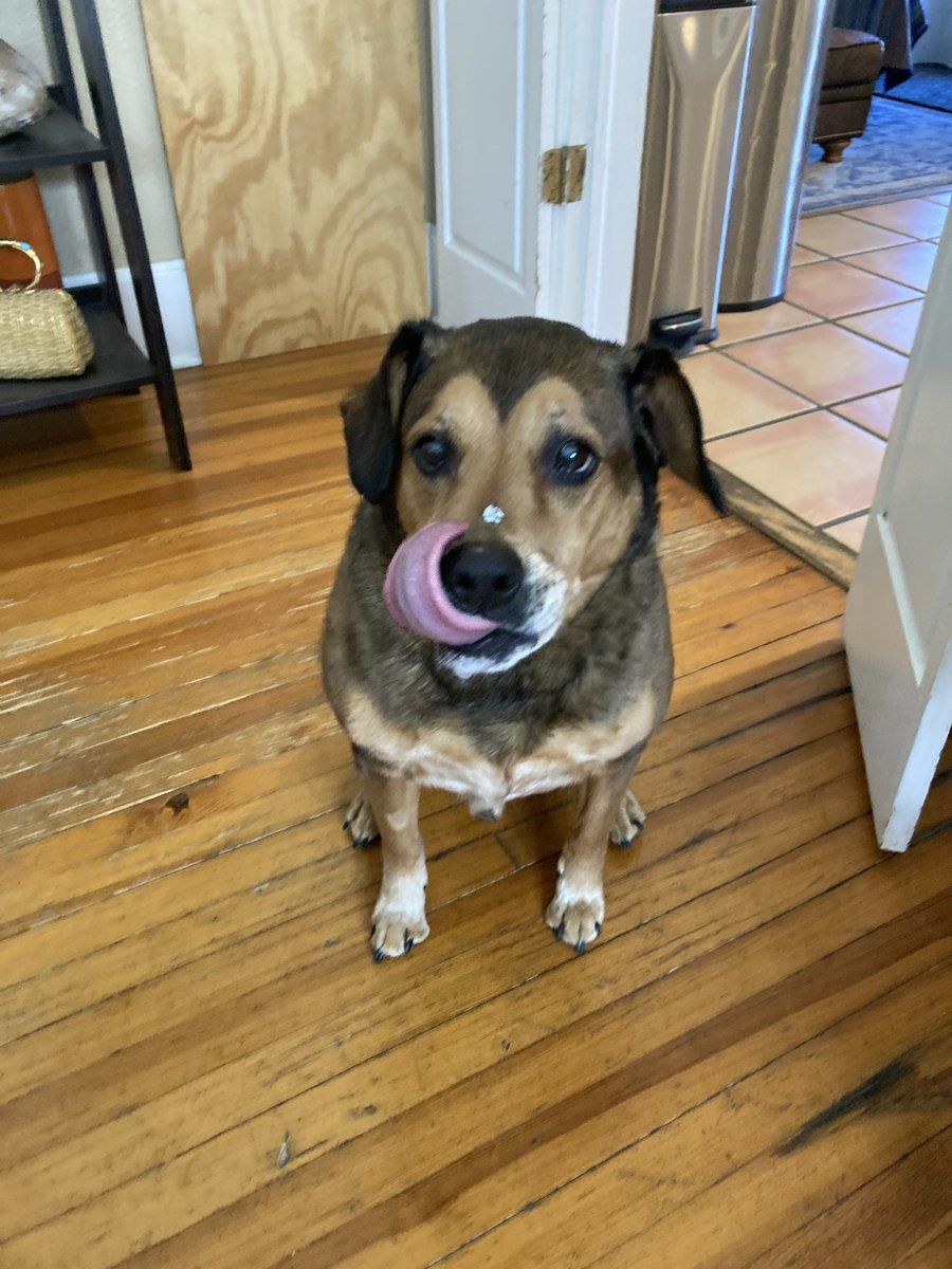 Dr. F117Nighthawk tweet media