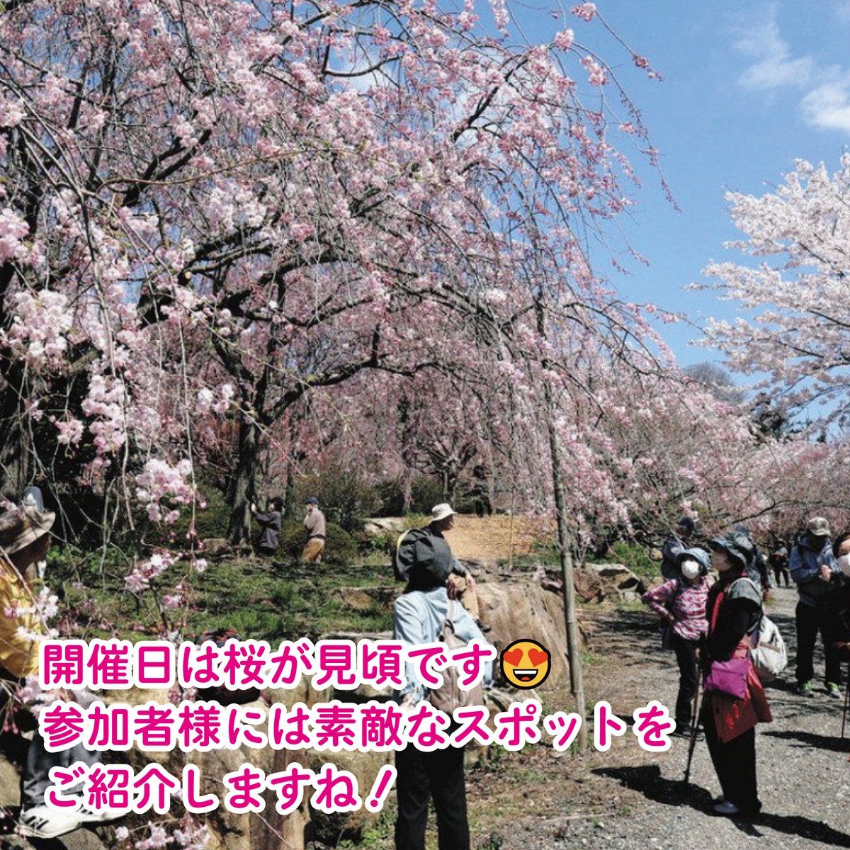 深江八幡神社 第6回ほのぼの祈願祭
～桜と光が舞い降る春～
#拡散希望
4/11(土)に開催します😊

【日程】
1⃣17:00 健康安全祈願祭 ＠深江八幡神社
2⃣18:30 ほのぼの懇親会 ＠民宿はまなす

【参加費】
①祈願祭のみ参加
御初穂料2,000円(1家族あたり)
②祈願祭&amp;懇親会に参加