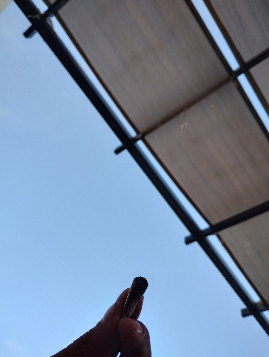 acouplehmo tweet media