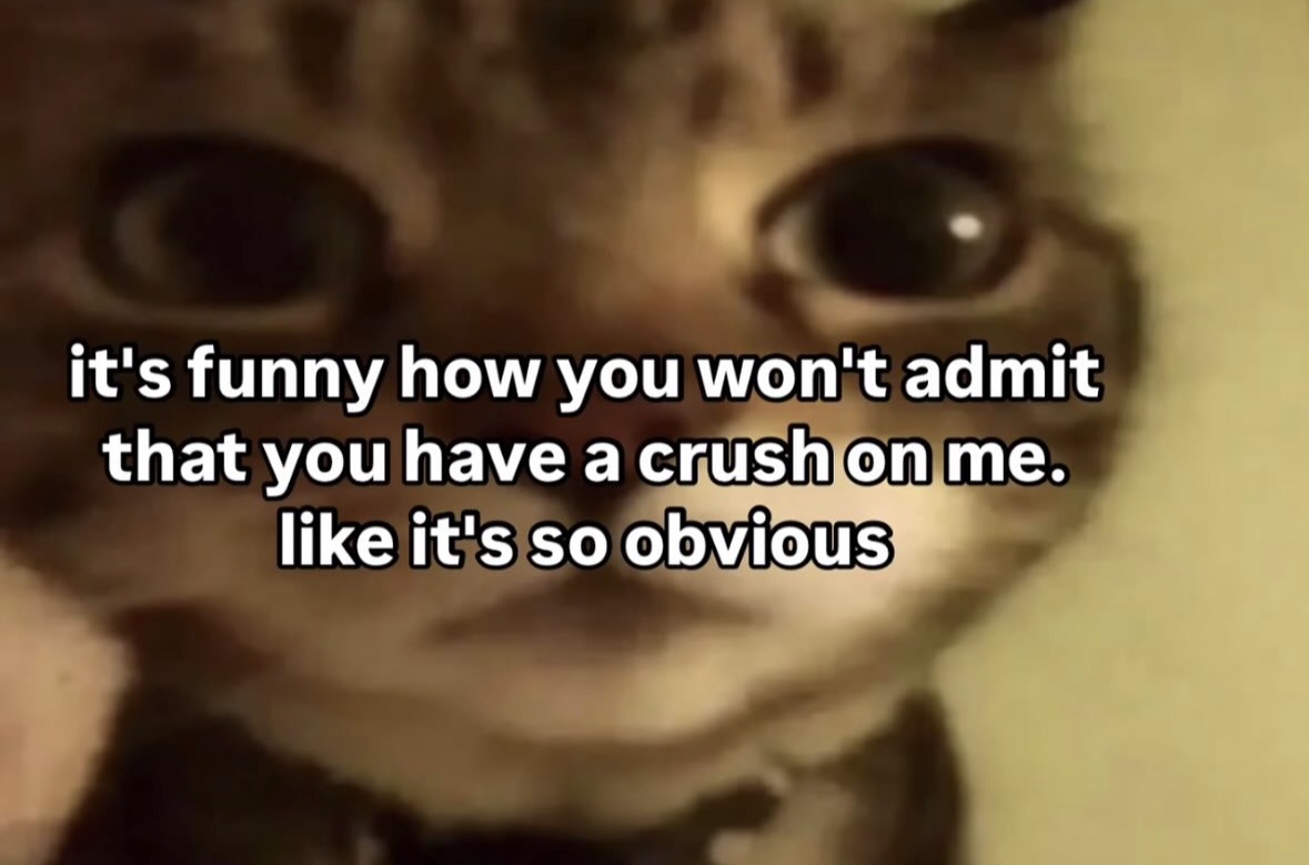 raccoon aesthetic. tweet media