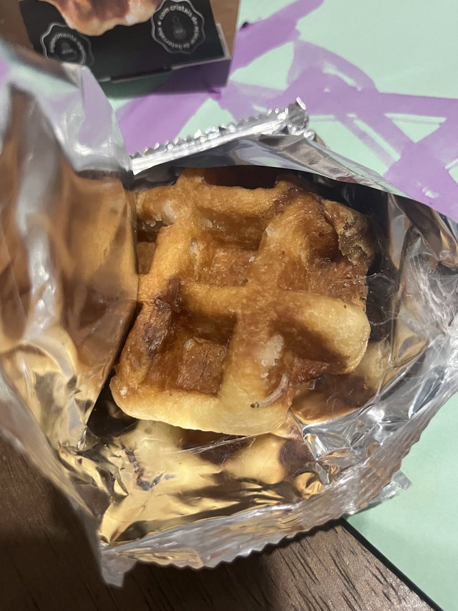 salisburia manipresto tweet media